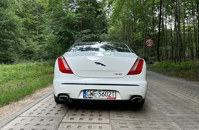 Jaguar XJ cena 99900 przebieg: 79000, rok produkcji 2015 z Barcin małe 596